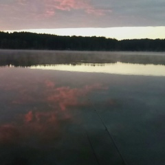 Рома Греков, 28.07.1988, Sydney
