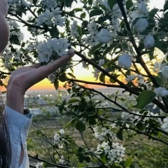 Tsyremzhit Dagbaeva