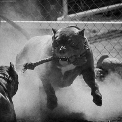 Юрий Бедусенко, 27.10, Набережные Челны