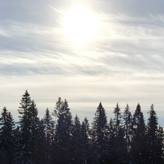 Андрей Мокеров, Красногорск