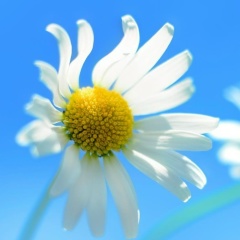 Kseniya Droblenova, 25.06.1986, Рудный