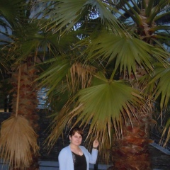 Лорианна Гериева, 03.07, Грозный