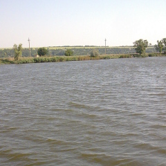 Сергей Горбачев, 01.07.1991, Запорожье