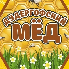 Николай Кочеров, Санкт-Петербург