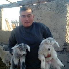 Тюлебаев Азамат, 14.01.1987