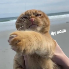 Илья Машнев, 14.04.1989, Санкт-Петербург