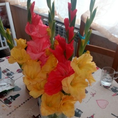 Лен Сан, 30.10, Москва