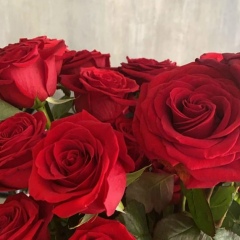 Айнара Жанатбековна, 17.02, Павлодар