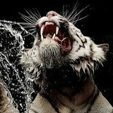 Мансур Мухаметулин