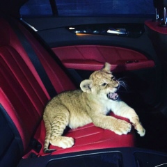 Кямран Иминов, 23.09, Алматы