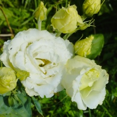 Юлия Колбина, 20.10, Киров