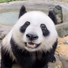 Анна Близнюк, 17.07.1983, Санкт-Петербург