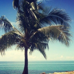 Андрей Букин, 26.02, Москва