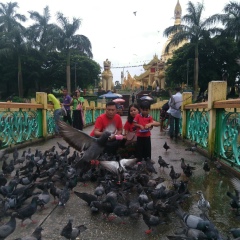 Aung Zaw-Htaik, 20.03.1977