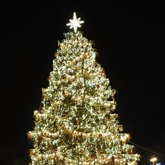 Олия Лыткина, 13.04, Санкт-Петербург