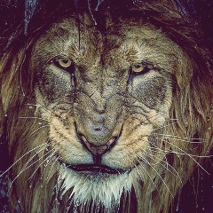 Дмитрий Кашко, Минск