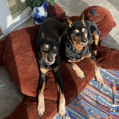 Валерия Бендер, 03.04, Санкт-Петербург