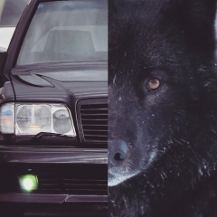 Рамзан Гехаев, 09.05, Караганда