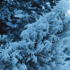 Юлия Коновалова, 30.06