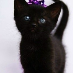 Мира Слава, 21.02, Москва