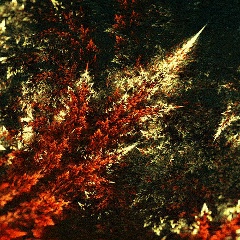 Виталик Пальто, Лиепая