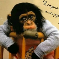 Иван Стряпкин, 26.03, Раменское