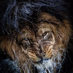 Вадим Чепчуренко, 03.08.1981, Черкассы