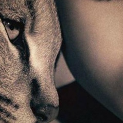 Миша Лопанцев, Новороссийск