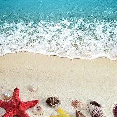 Алексей Новоселов, 01.07.1983, Север