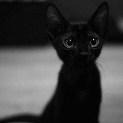 Вероника Веселова, 21.05, Красноярск