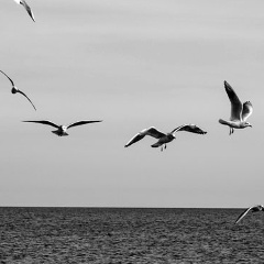 Ксения Аверьянова, 04.08.1988, Москва