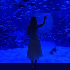 Лина Панфилина, 15.02, Кишинев