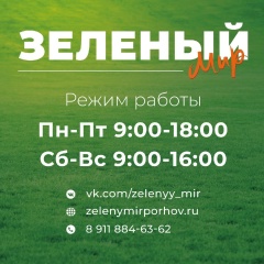 Зелёный Мир, 01.02, Порхов