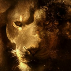 Данабек Айтбеков, 23.08.1990, Жанаозен