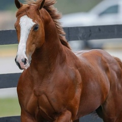 Нурлан Орманов, 17.09, Талдыкорган
