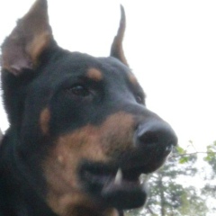 Денис Кравчук, 08.05, Киев