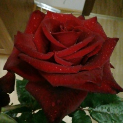 Лилия Фахрутдинова, Кандры-Кутуй