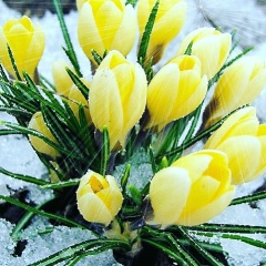 Марина Розина, 11.12.1976