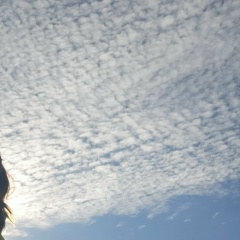 Zemfira Ibatullina, 29.01, Уфа