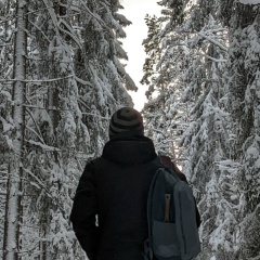 Александр Валеев, Санкт-Петербург