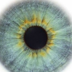 Майя Арутюнян