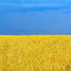 Христина Білінська, 13.06, Тернополь