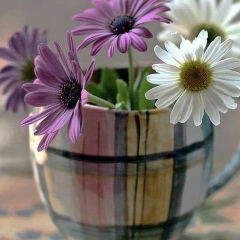 Набира Конайкызы