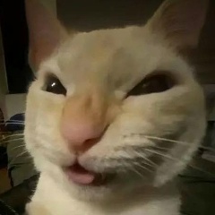 Антон Бортников, 30.04.1992, Хабаровск