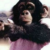 Дмитрий Хусейнов, 26.04.1987, Москва