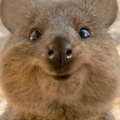 Анастасия Батиг, 09.05, Санкт-Петербург