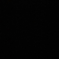 Dumitru Bobeico, Флорешты