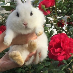 Гулдана Ярылханова, Тараз