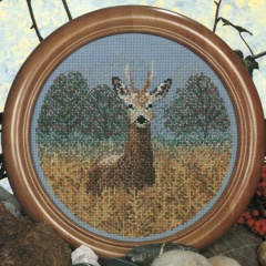 Тая Павлова, Воронеж