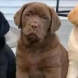 Евгения Шумилова, 16.05, Санкт-Петербург